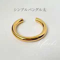 Item thumbnail for item 2e41b8d7-fd85-46ea-befa-0caa9eb85b48