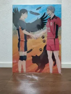 影山飛雄＆灰羽リエーフ　クリアファイル①