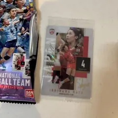 女子日本代表バレーボールウエハース　石川