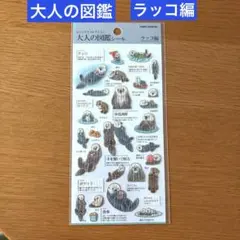 [正規品]大人の図鑑シール ラッコ編 カミオジャパン