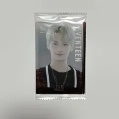 SEVENTEEN ウエハース　ジュン