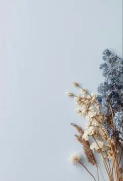 【m(プロフ必読） 様専用ページ】