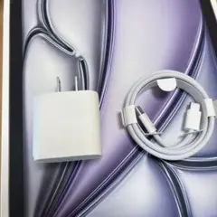 純正付属品　Apple 20W USB-C電源アダプタとケーブル