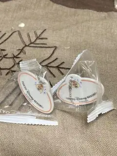 ★ディズニー リゾート★ ネームタグ型　キーチェーン　デール  ２つセット