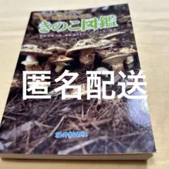 Item thumbnail for item 02cea9fc-16db-42ca-9949-48ad669c1378