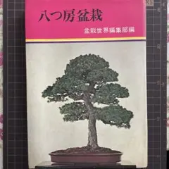 鬼才 関野正「盆栽は情念だ」盆栽世界特別号 赤松 黒松 ミニ盆栽