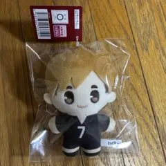 ハイキュー ぬいぐるみ マスコット 侑
