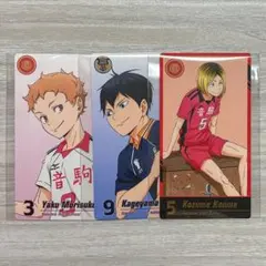 【匿名配送】ハイキュー!! ゴミ捨て場の決戦展 トレーディングチケット風カード