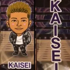 千社札 武知海青