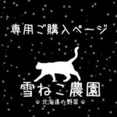 arisu様リクエスト商品ページ