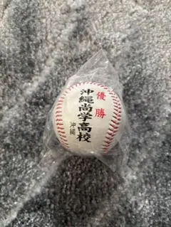 Item thumbnail for item 8db4c188-710f-4f73-9938-194b4adef2a9