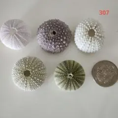 Item thumbnail for item bde3ffb9-b0b0-4b0f-b063-01dd890e9088