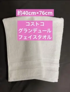 Item thumbnail for item b3647d11-776e-4ab9-88c4-c5c10b65add5