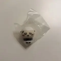 치이카와 라면돼지 소후비 해달