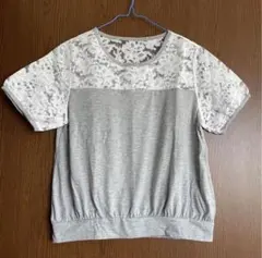 Item thumbnail for item 88a68a19-011a-489c-a23b-2cda6bb8da2f