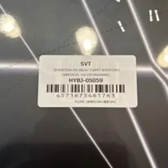 SEVENTEEN HAPPY DAREDEVIL スングァン