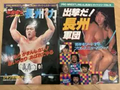 全日本プロレス∕ミニカード∕No.7∕ドリー・ファンクJr∕昭和レトロ∕希少 テリー・ファンク & ドリー・ファンク・ジュニア プロレスカードセット