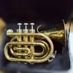 2025年最新】ポケット トランペットの人気アイテム - メルカリ