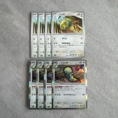 ノココッチ 進化ライン No.52