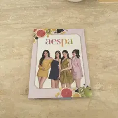aespaファンクラブ特典 FC限定 スペシャルキット KARINA