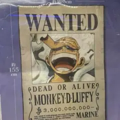 手配書ブランケット