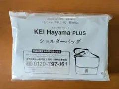 大人のおしゃれ手帖3月号　付録のみ　ショルダーバッグ