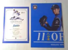 2026年最新】大谷 観戦証明書の人気アイテム - メルカリ