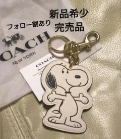 COACH プレッツェル キーホルダー バッグチャーム - メルカリ