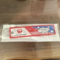 JAL A350 WINGLET Titanium Keychain 限定品 - メルカリ