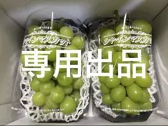 【せな様専用】