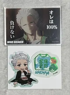 m*n様 WIND BREAKER アクリルブロック ダイカットステッカー 梅宮