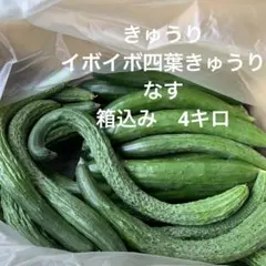 b宮城県産　きゅうりたくさん　野菜詰め合わせ　箱込み4キロ