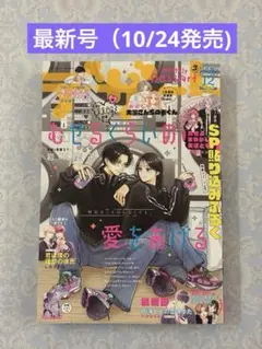 月刊誌「デザート　2025年12月号」