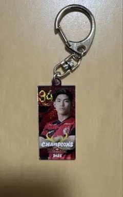2026年最新】鹿島アントラーズ優勝記念グッズの人気アイテム - メルカリ