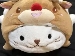 アフロ犬✕セブンティーンアイス♡懸賞当選品・難あり - メルカリ