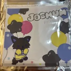2026年最新】jochum ピーハイの人気アイテム - メルカリ