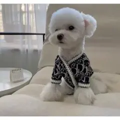 Item thumbnail for item 664b6f2c-f242-4246-91aa-361d438b8f46