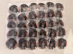 レオナ・キングスカラー　缶バッジ30点セット