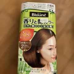 2026年最新】ヘアカラートリートメント ブリエ ビジューの人気アイテム