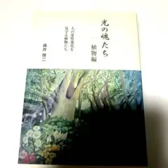 2026年最新】森井啓二 光の魂たちの人気アイテム - メルカリ