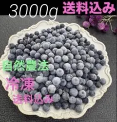 完熟冷凍ブルーベリー【2L・L・M】合計4kg - メルカリ