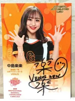 Item thumbnail for item 3c2947c4-50a1-4550-a32a-fcba8cf76e75