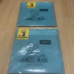 Item thumbnail for item dd28e93b-2e06-495d-8072-f33ccb4b6a7b