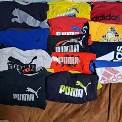 Item thumbnail for item 186054cd-bd63-4775-86d6-f88658019deb