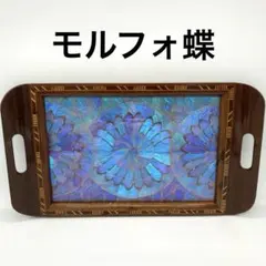 2026年最新】蝶標本 モルフォ蝶の人気アイテム - メルカリ