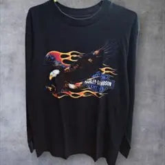 90s ハーレーダビッドソン イーグル ファイヤーパータン USA製