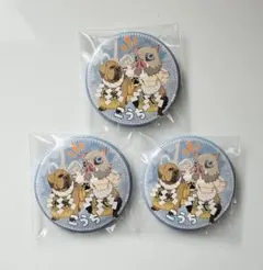 鬼滅の刃　togo高知　缶バッジ　嘴平伊之助3点