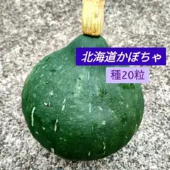 My Brocante プロフ必読様 リクエスト 3点 まとめ商品