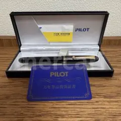 新品 PILOT 万年筆 カスタム ウルシ シュ FM 朱 FKV88SRRFM - メルカリ