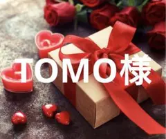 【TOMO様 専用】〜2月分お取り置き〜